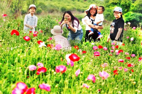 第二批全国乡村旅游重点村名单公布，广西22个村屯拟入选